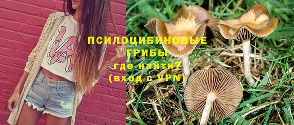 PSILOCYBIN Усинск