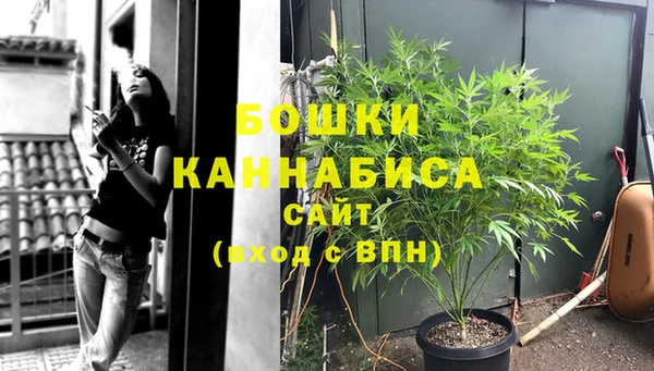 PSILOCYBIN Усинск
