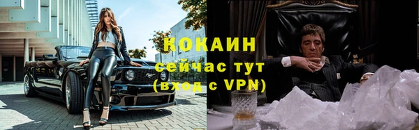 ешки Радужный