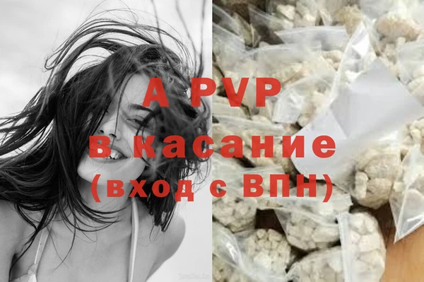 стафф Усолье-Сибирское