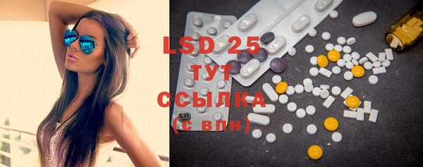 PSILOCYBIN Усинск