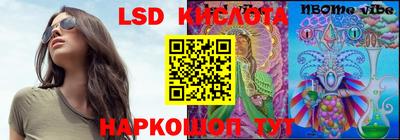 стаф Дубна