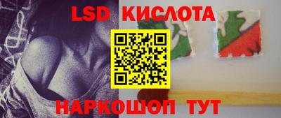 стаф Дубна