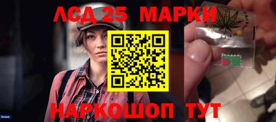 стаф Дубна