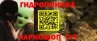 прущие крисы Абакан