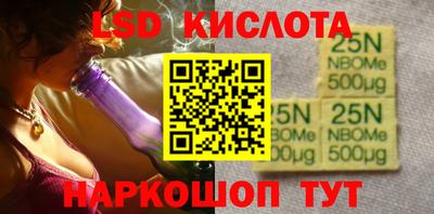 стаф Дубна