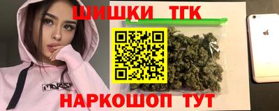 стаф Дубна