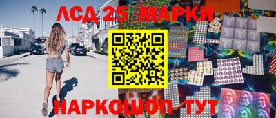 стаф Дубна