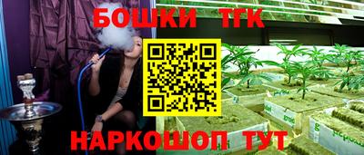 стаф Дубна