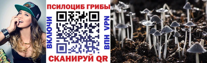 Галлюциногенные грибы мухоморы  мориарти телеграм  Шарыпово 