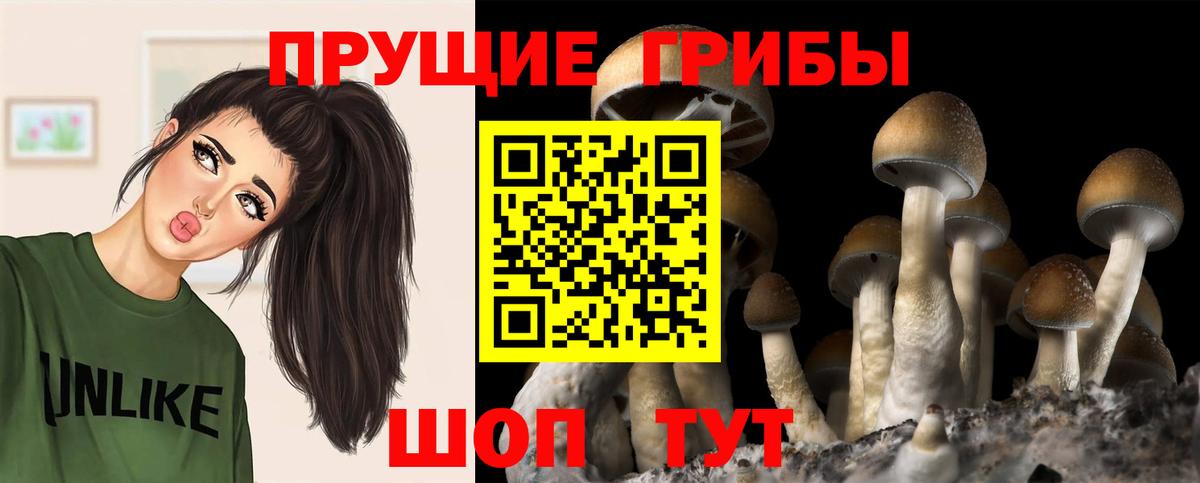 Псилоцибиновые грибы ЛСД  Вход с VPN  Псилоцибиновые грибы мухоморы  Шарыпово 